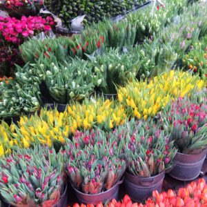 20150201-broadwaymarket-tulips